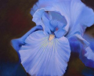 Iris Study #2